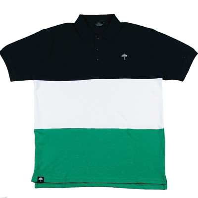 CLASSIC POLO NAVY WHITE GREEN.jpg